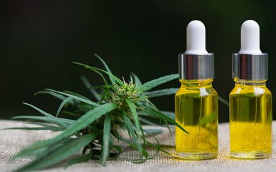 CBG vs CBD: What’s the Difference?